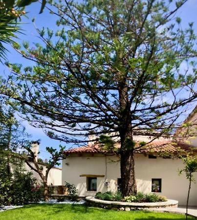 Гостевой дом Chorio House Platanias Vrisai Экстерьер фото