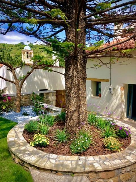 Гостевой дом Chorio House Platanias Vrisai Экстерьер фото